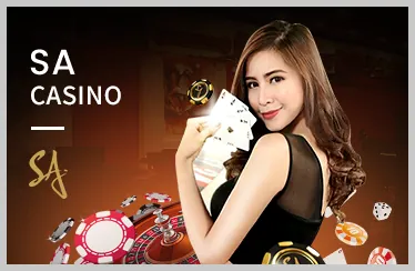 Quyền lợi VIP ku casino ku711